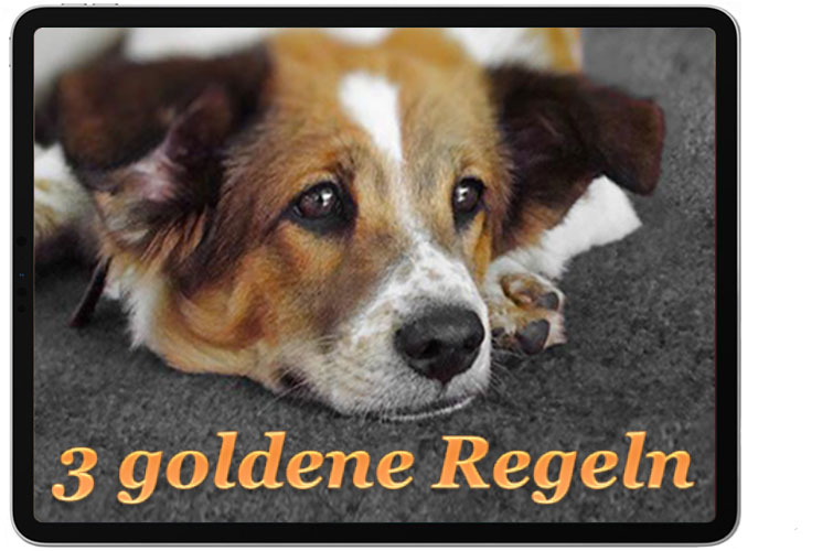 3 goldene Regeln
