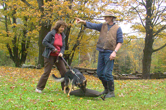 hundetraining kevin