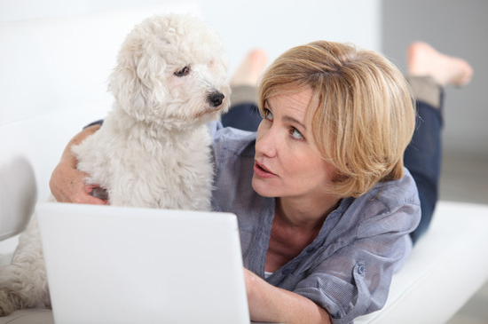 online hundetraining