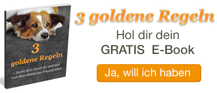 ebook Hundeverhalten