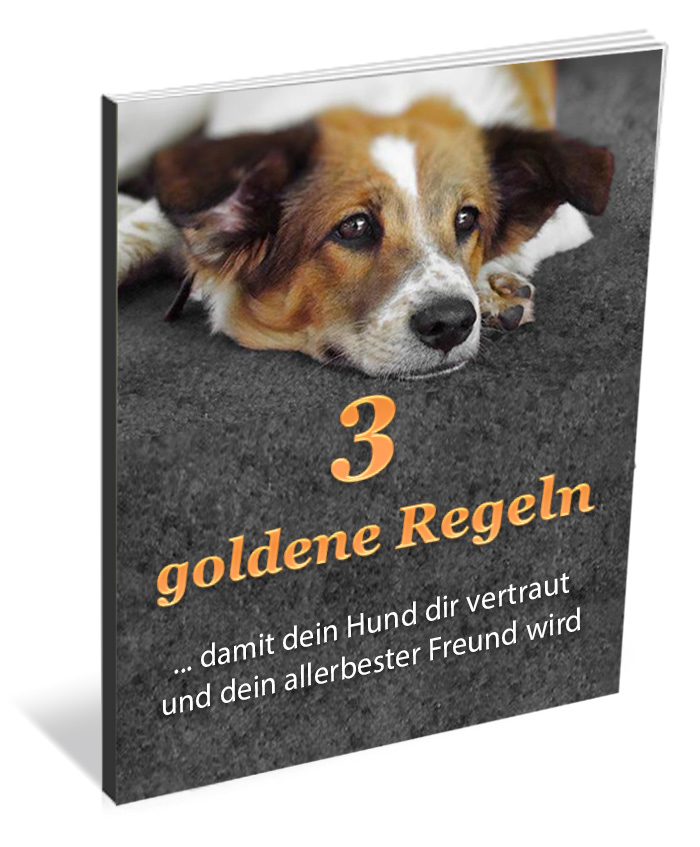 3goldene Regeln Cover