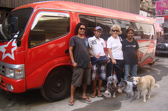 strassenhunde transport service